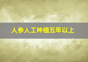 人参人工种植五年以上