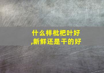 什么样枇杷叶好,新鲜还是干的好