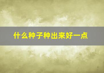 什么种子种出来好一点