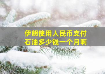 伊朗使用人民币支付石油多少钱一个月啊