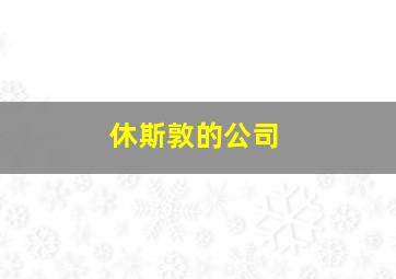 休斯敦的公司