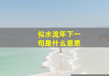 似水流年下一句是什么意思