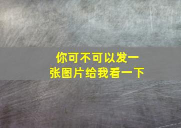 你可不可以发一张图片给我看一下