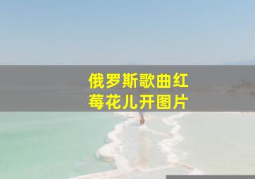 俄罗斯歌曲红莓花儿开图片