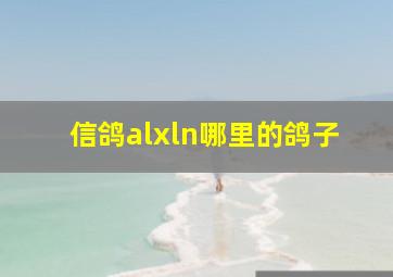 信鸽alxln哪里的鸽子