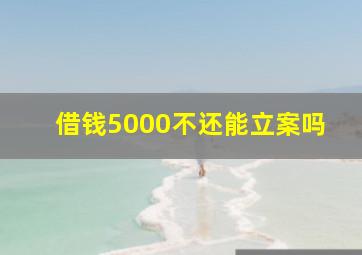 借钱5000不还能立案吗