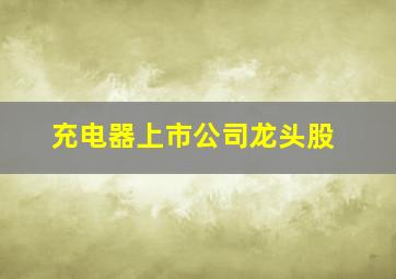 充电器上市公司龙头股