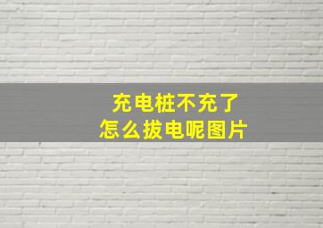 充电桩不充了怎么拔电呢图片