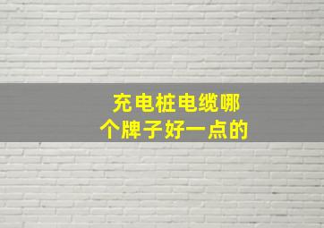 充电桩电缆哪个牌子好一点的