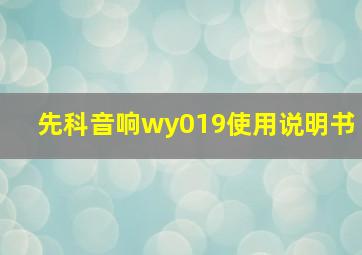 先科音响wy019使用说明书