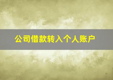 公司借款转入个人账户