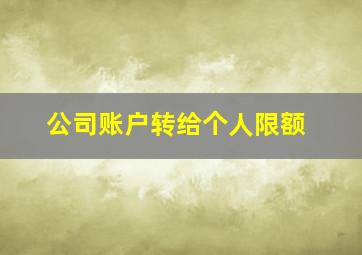 公司账户转给个人限额