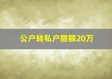 公户转私户限额20万