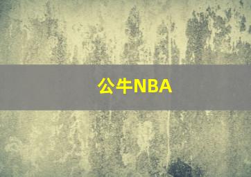 公牛NBA