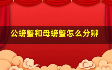 公螃蟹和母螃蟹怎么分辨