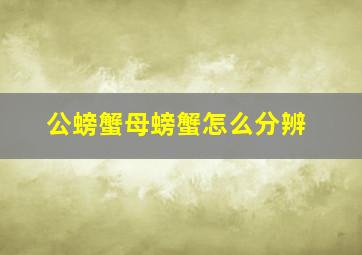 公螃蟹母螃蟹怎么分辨