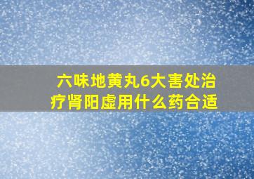 六味地黄丸6大害处治疗肾阳虚用什么药合适