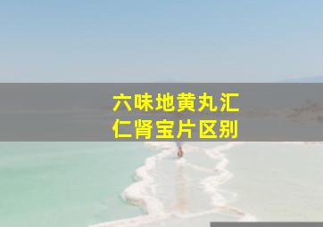 六味地黄丸汇仁肾宝片区别