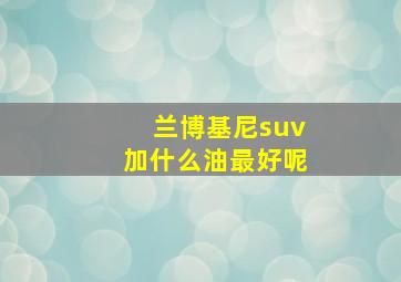 兰博基尼suv加什么油最好呢