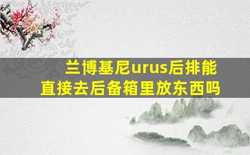 兰博基尼urus后排能直接去后备箱里放东西吗