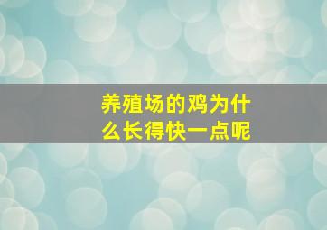 养殖场的鸡为什么长得快一点呢