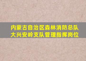 内蒙古自治区森林消防总队大兴安岭支队管理指挥岗位