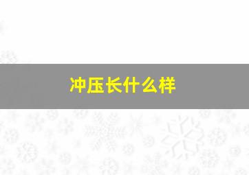 冲压长什么样