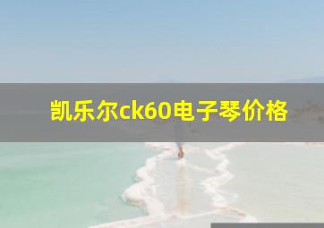 凯乐尔ck60电子琴价格