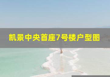 凯景中央首座7号楼户型图