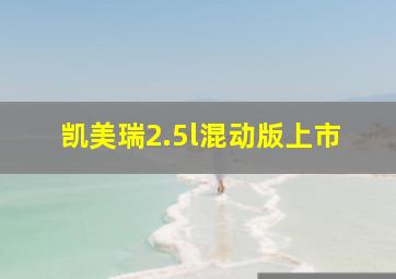 凯美瑞2.5l混动版上市