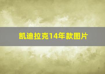 凯迪拉克14年款图片