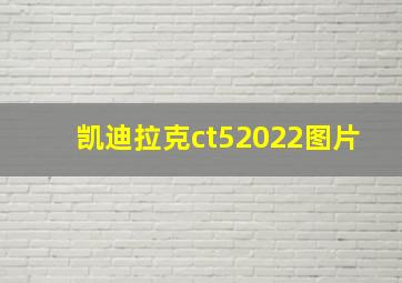 凯迪拉克ct52022图片