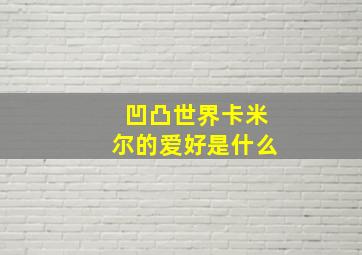 凹凸世界卡米尔的爱好是什么