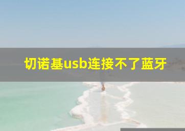 切诺基usb连接不了蓝牙