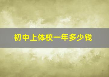 初中上体校一年多少钱