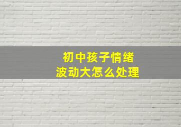 初中孩子情绪波动大怎么处理