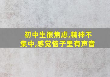 初中生很焦虑,精神不集中,感觉恼子里有声音