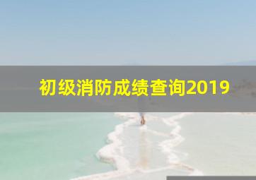 初级消防成绩查询2019