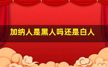 加纳人是黑人吗还是白人