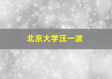 北京大学汪一波