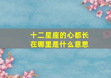 十二星座的心都长在哪里是什么意思