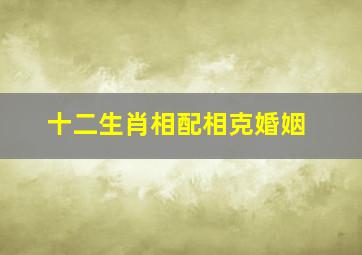 十二生肖相配相克婚姻