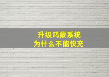 升级鸿蒙系统为什么不能快充