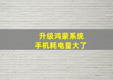 升级鸿蒙系统手机耗电量大了