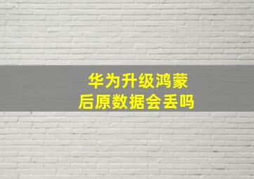 华为升级鸿蒙后原数据会丢吗