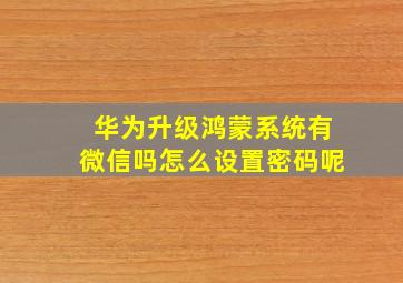 华为升级鸿蒙系统有微信吗怎么设置密码呢