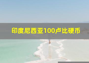 印度尼西亚100卢比硬币