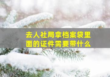 去人社局拿档案袋里面的证件需要带什么