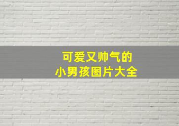 可爱又帅气的小男孩图片大全