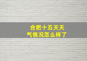 合肥十五天天气情况怎么样了